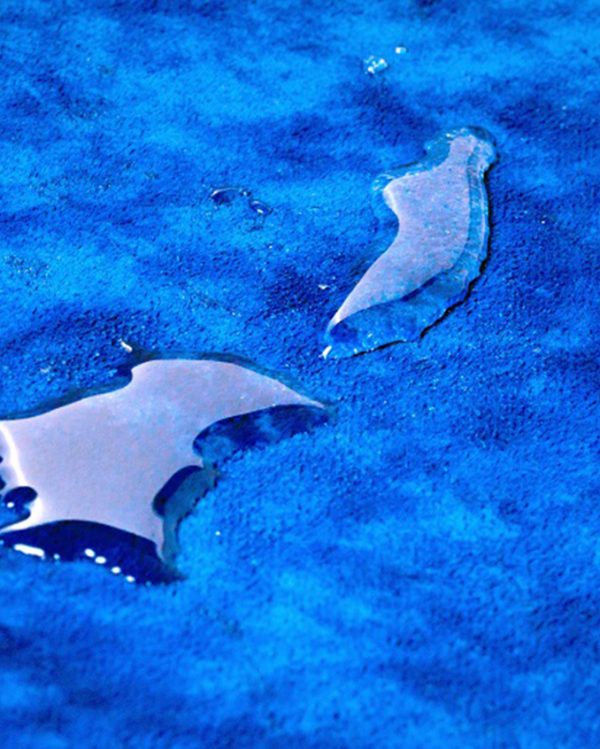 Kreveti za pse Woofmat plavi