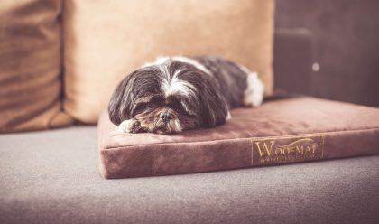 celliant vlakna za psa